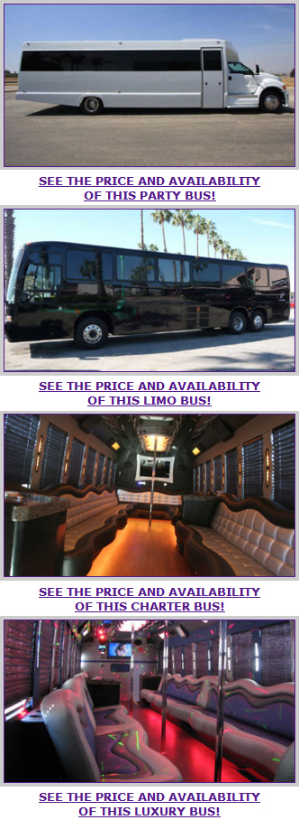 Miami Party Bus Services