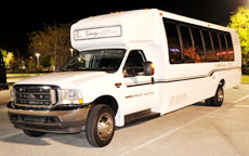 22 Passenger Party Bus