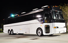 45 Passenger Party Bus