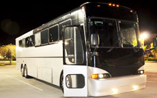 50 Passenger Party Bus