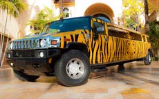 Tiger Hummer Limo