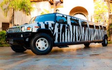 Zebra Hummer Limo #1