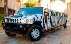 Zebra Hummer Limo #2